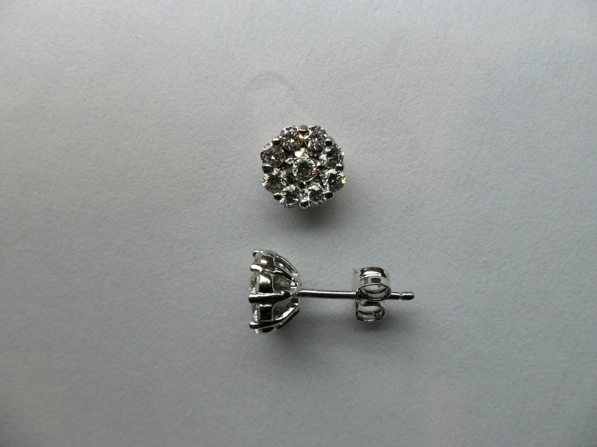 Halo Cirkel Oorknoppen Witgoud