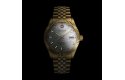 Swiss Military Hanowa Master Diligenter horloge SMWGL0005410