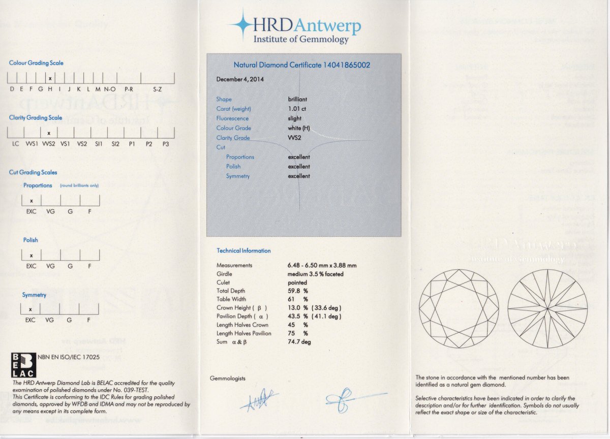 1.01 crt. - H - VVS2